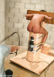 Ну что дорогая, сегодня моя очередь доминировать!