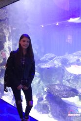 Эксклюзив для моих поклонников